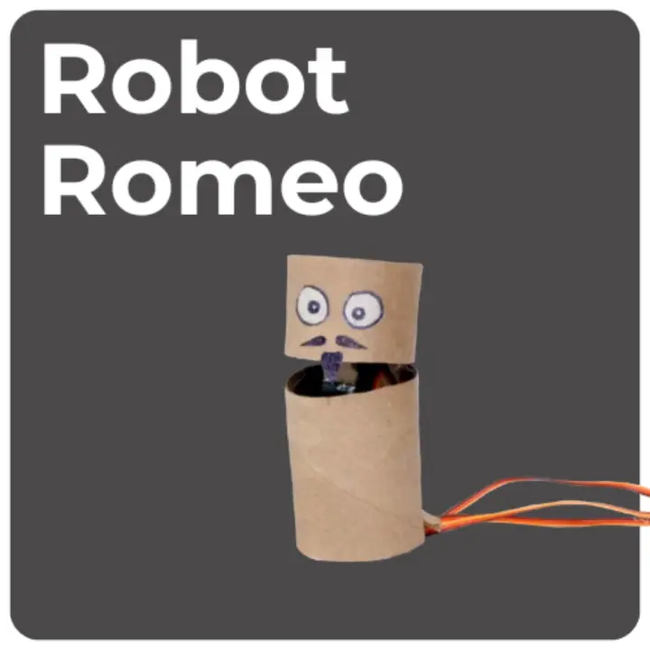 Robot Romeo Student Show Tile